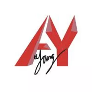AY Young