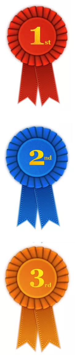 1st 2nd 3rd places