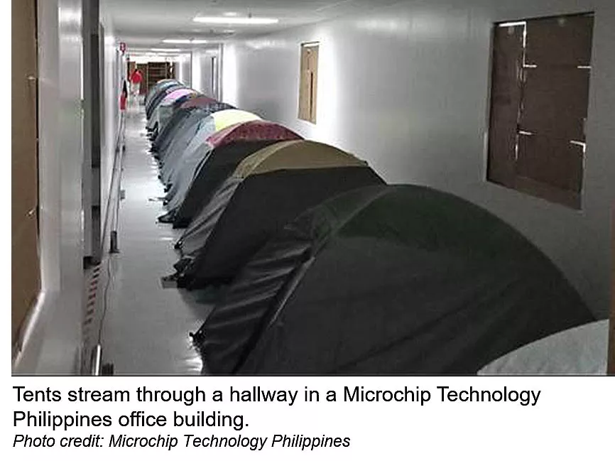 Microchip hallway tents 3