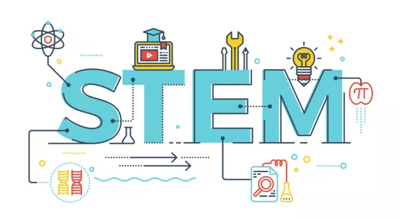Micron STEM