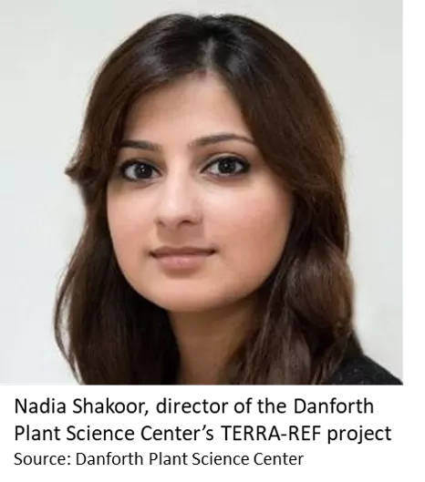 Nadia