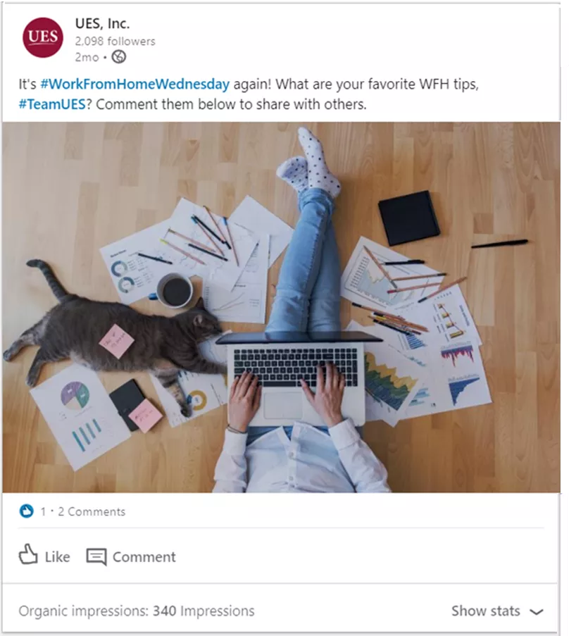 UES social media 3